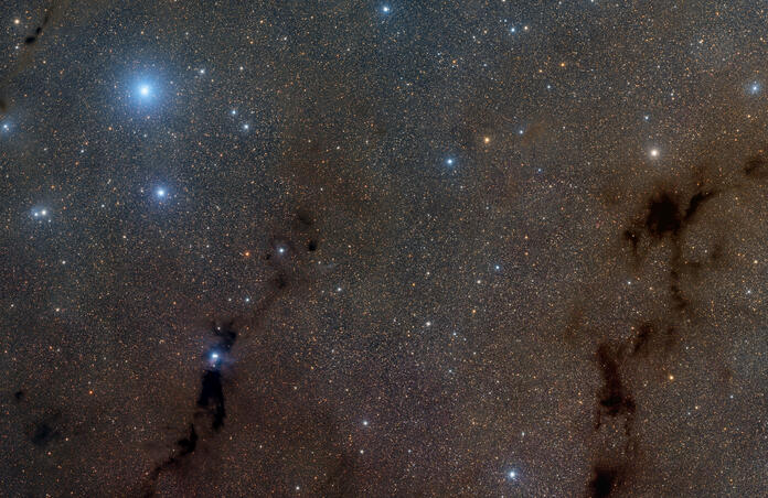 Lupus dust