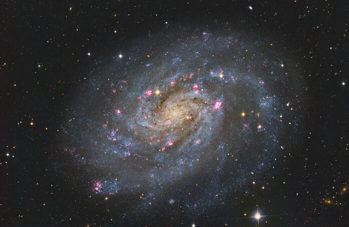 NGC300