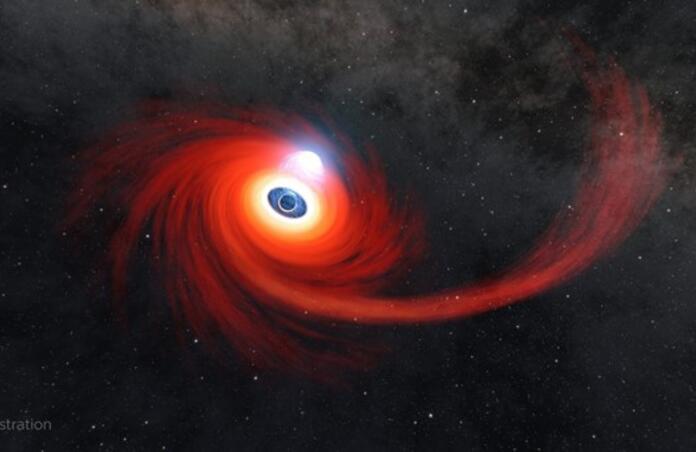 Black Hole Feeding off Star