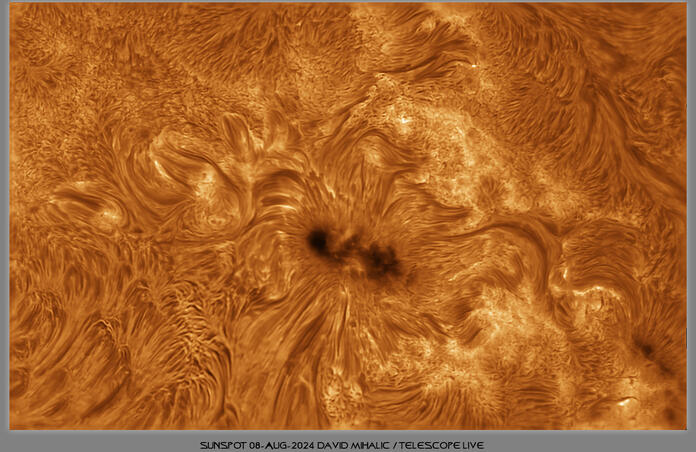 Sunspot 08-Aug-2024