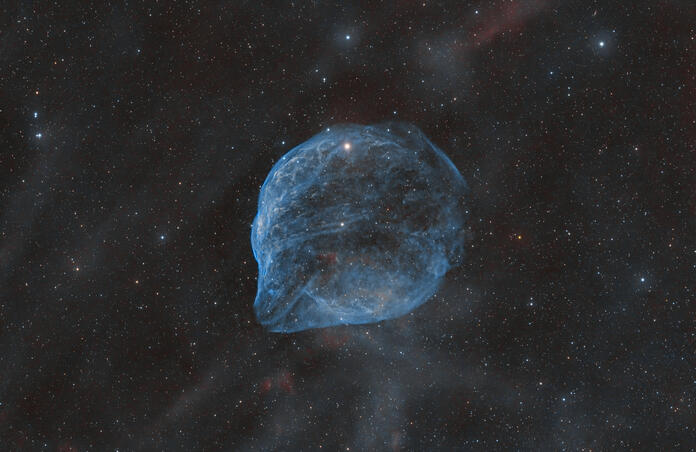 🐬 Sh2-308 - The Dolphin Nebula 🐬