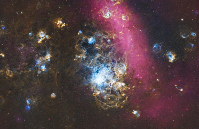 🕷️ 30 Doradus - The Tarantula Nebula 🕷️