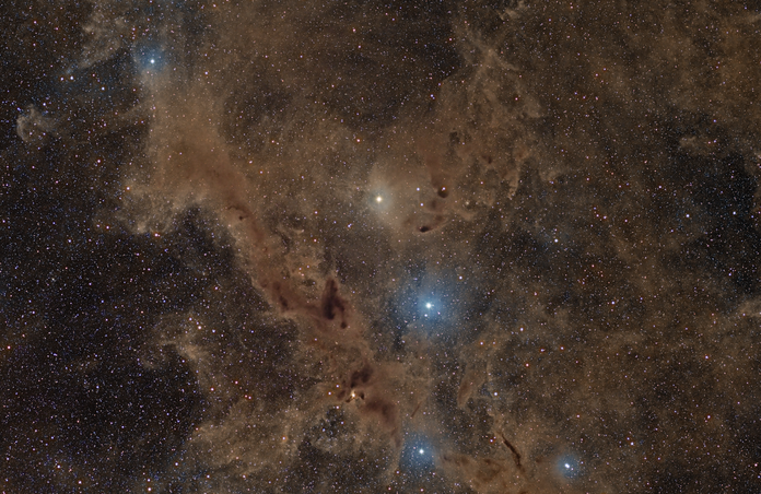 Barnard 228 or The Dark Wolf Nebula