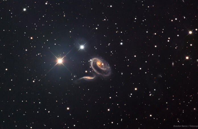 ARP 273