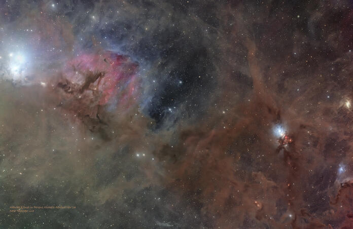 Nebulae and Dust in Perseus