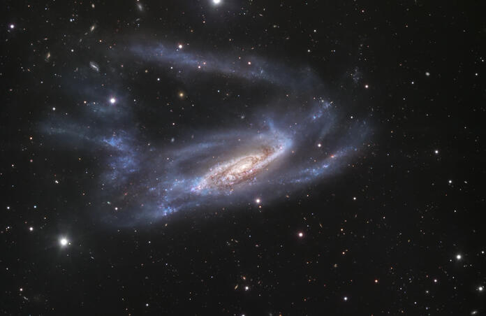 NGC 3981
