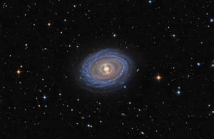 NGC1398