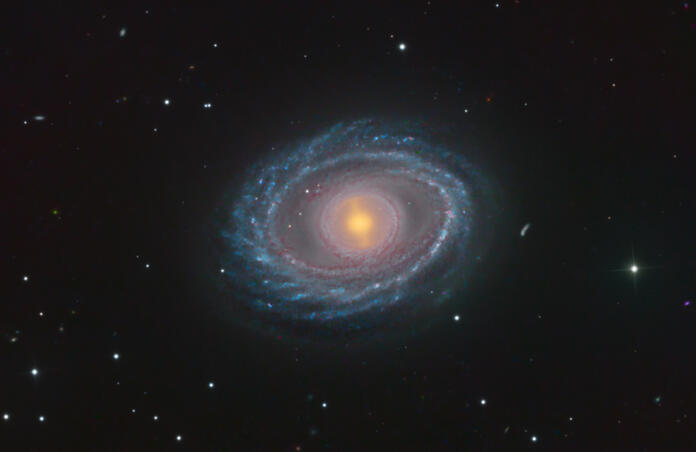 NGC1398
