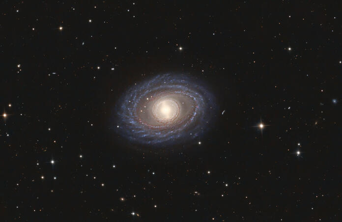 NGC 1398