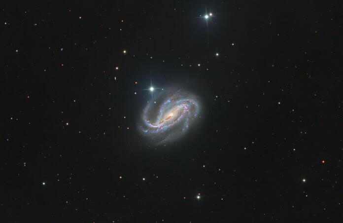 NGC613