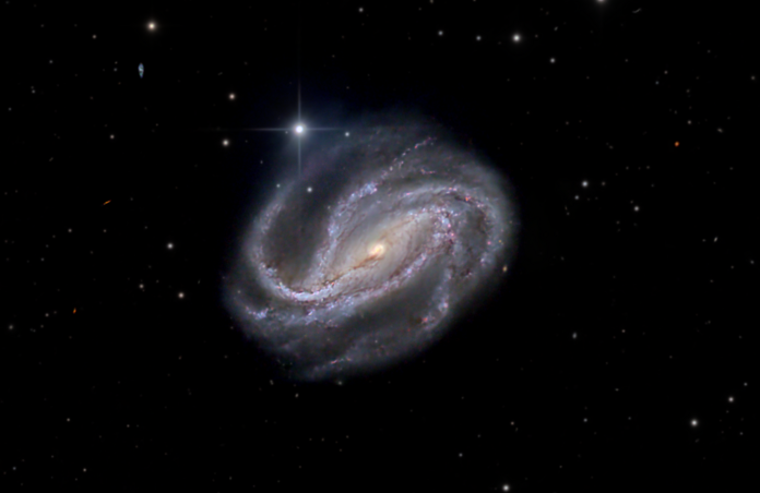 NGC613