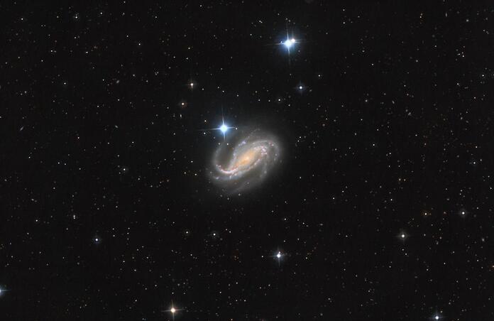 NGC 613