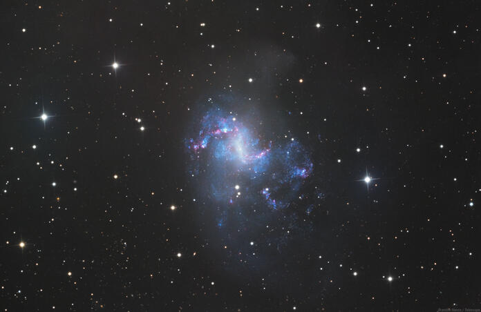NGC 1313