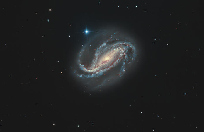 NGC613