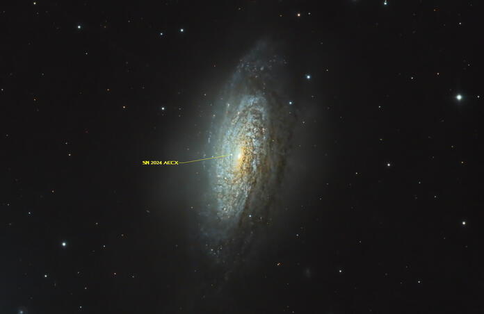 Supernova SN2024aecx in NGC 3521