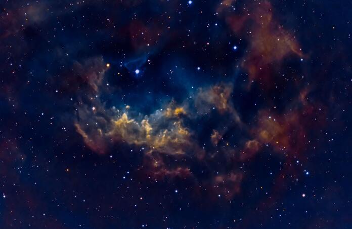 Sh2-261: Lower's Nebula