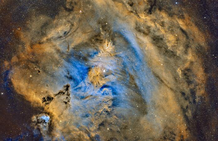 A Galactic Christmas Tree - Christmas Tree Cluster & Cone Nebula (NGC 2264)