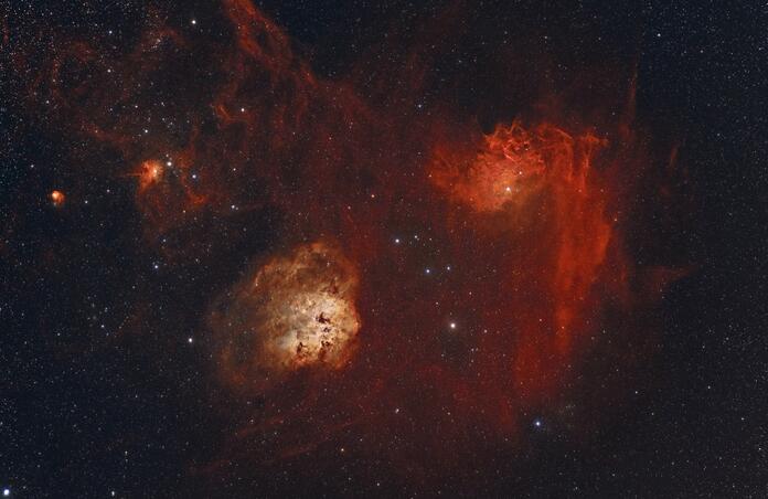 Auriga (HOO tri-color blend)