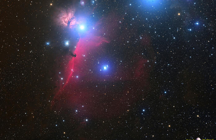 Horsehead Widefield