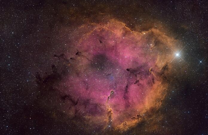 IC1396 (custom HSO blend)