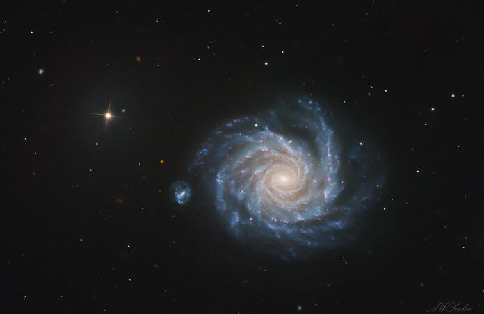 NGC 1232