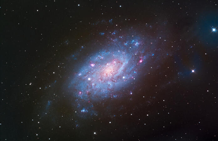 NGC 2403