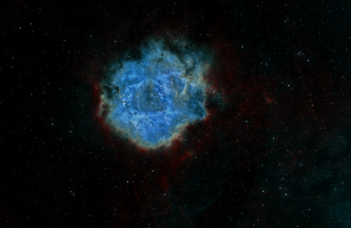 Rosette