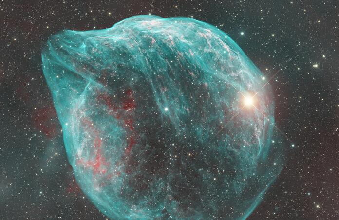 Dolphin nebula