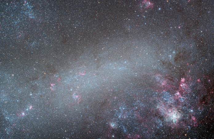 Large Magellanic Cloud (LMC)