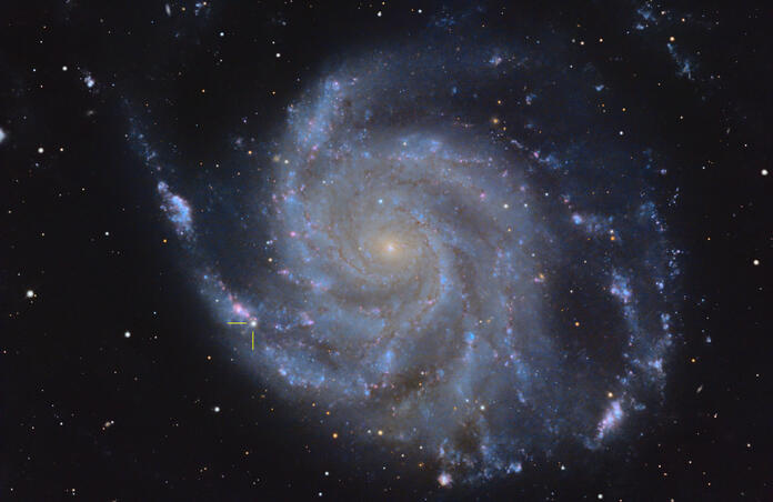 M101
