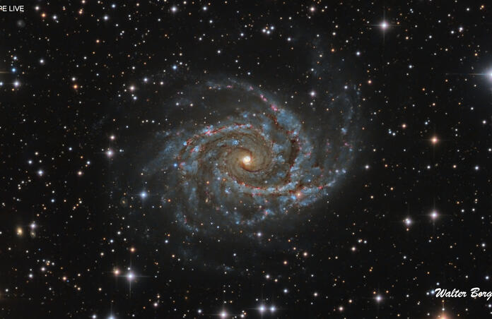 NGC 2997