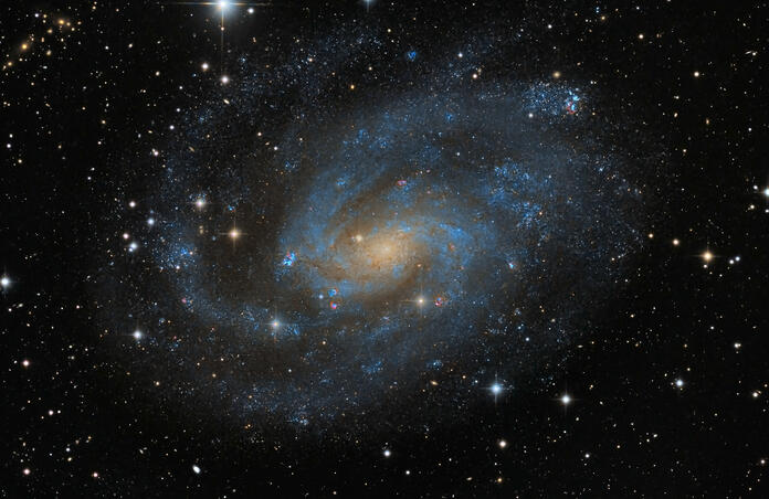NGC 300