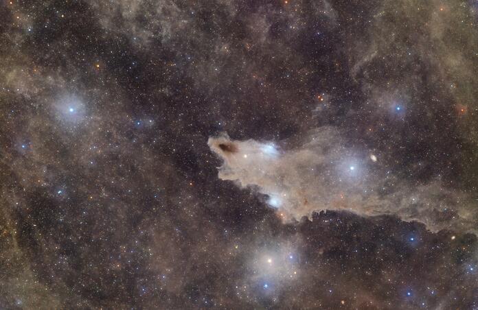 Dark Shark Nebula