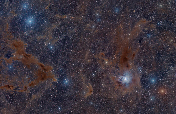 🌌 The Iris Nebula & LDN 1157 – A Cosmic Tapestry ✨🌿