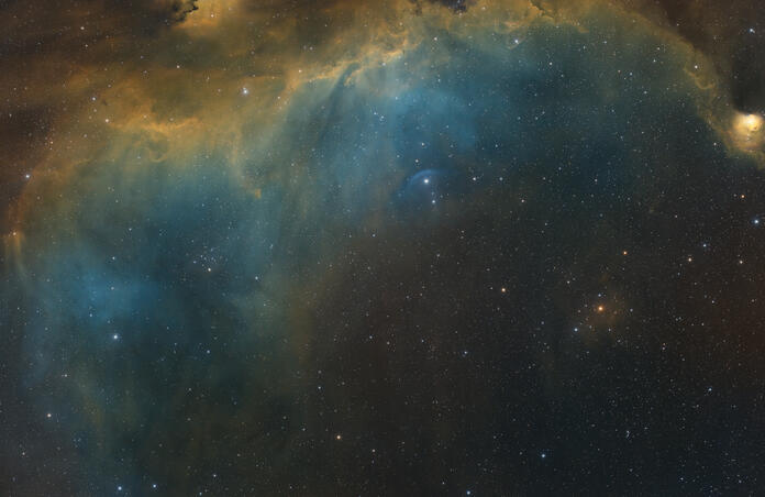 Sh2 296 / IC 2177 / Seagull Nebula