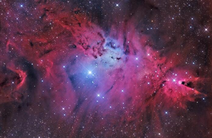 Christmas Tree Nebula