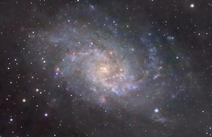 M33