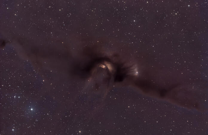 🌌 LDN 43 – The Cosmic Bat Nebula 🦇✨