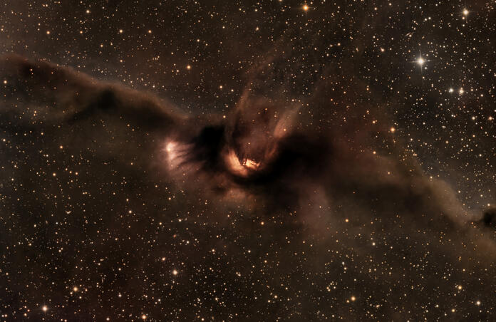 Cosmic Bat Nebula