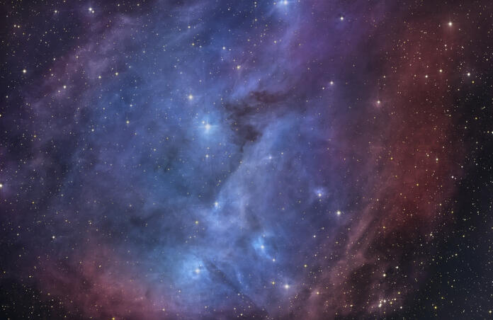IC 2169