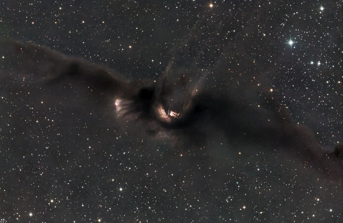 LDN43 - The Cosmic Bat