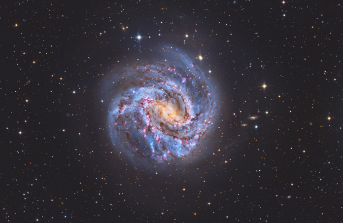 M83