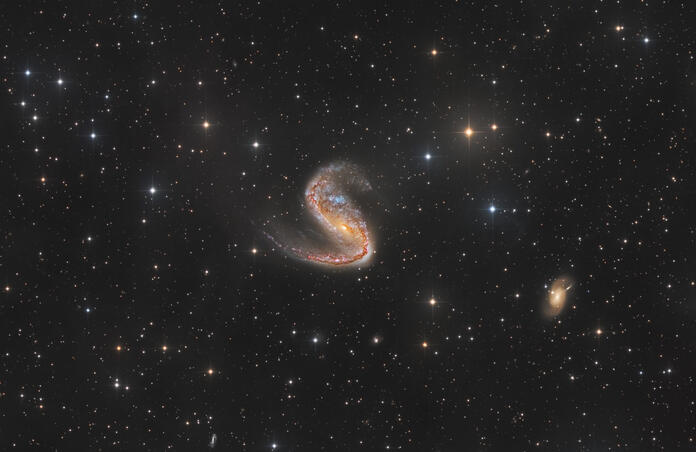 NGC 2442- The Cobra and Mouse