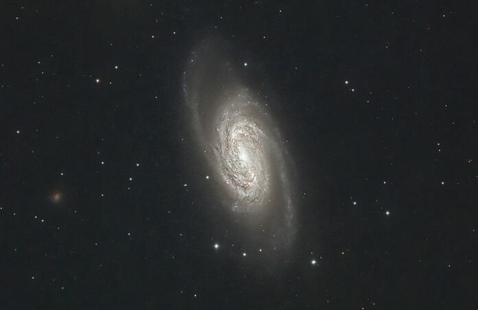 NGC 2903