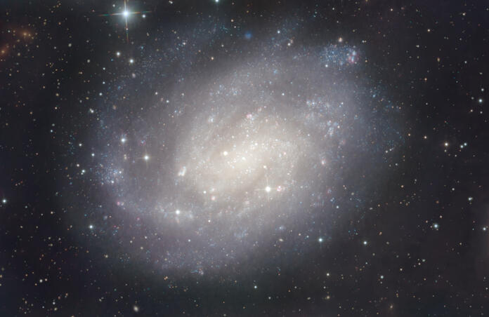NGC300