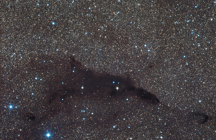 Barnard 252 – The Cosmic Seahorse in the Dark
