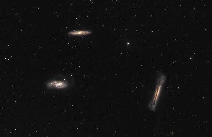 Leo Triplet...