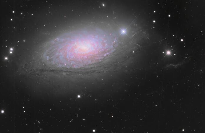 M63
