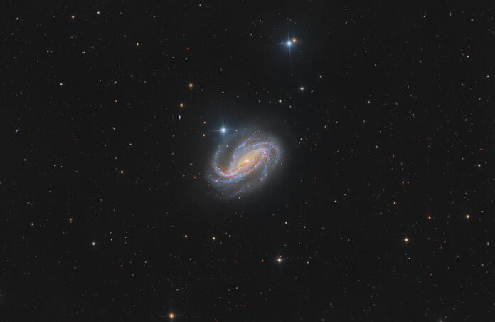 NGC 613