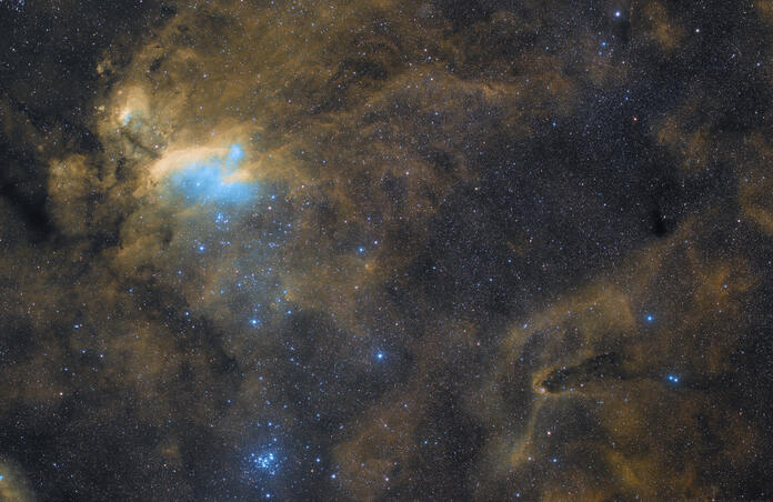 Prawn Nebula